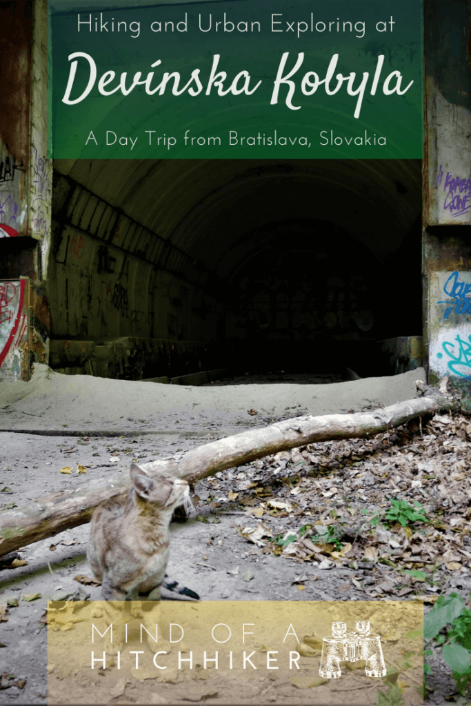 During our stay in Bratislava, we hiked up to Devínska Kobyla. There's an abandoned missile base good for urban exploring and meeting sweet pirate cats. #hiking #bratislava #slovakia #devin #devinskakobyla #coldwar #missilebase #urbanexploring #ux #urbanexploration #abandonedplaces #urbandecay #danube #morava #castle #ruins #straycat #cat #scrambling #autumn