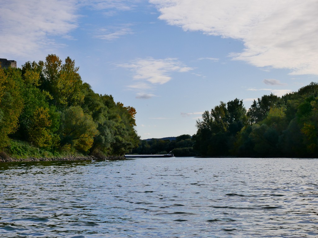 25 Barge shipping cargo ship Danube confluence Morava
