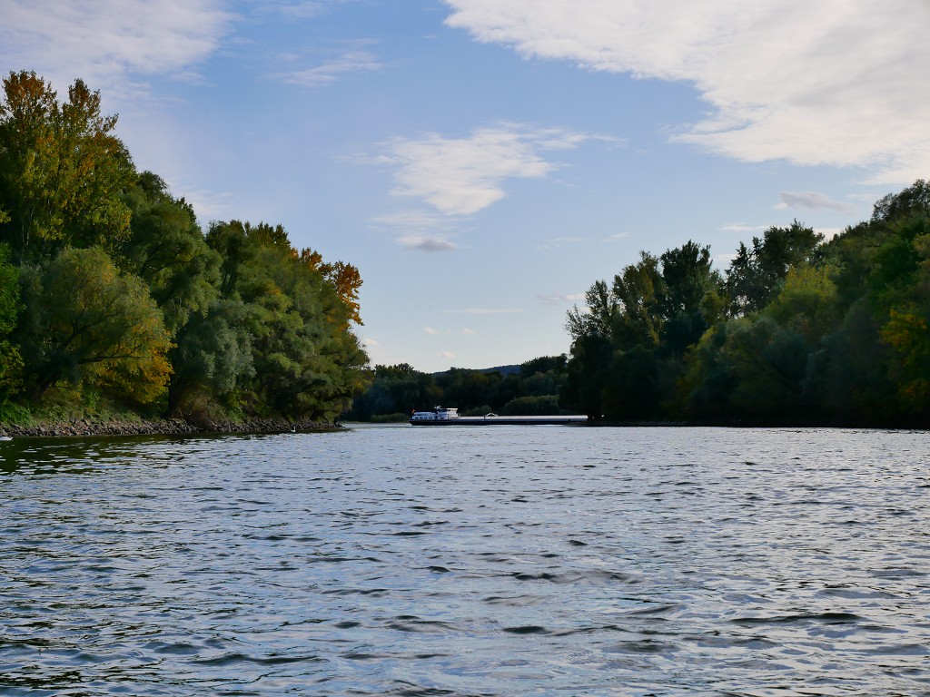 26 Barge on the Danube confluence Morava River