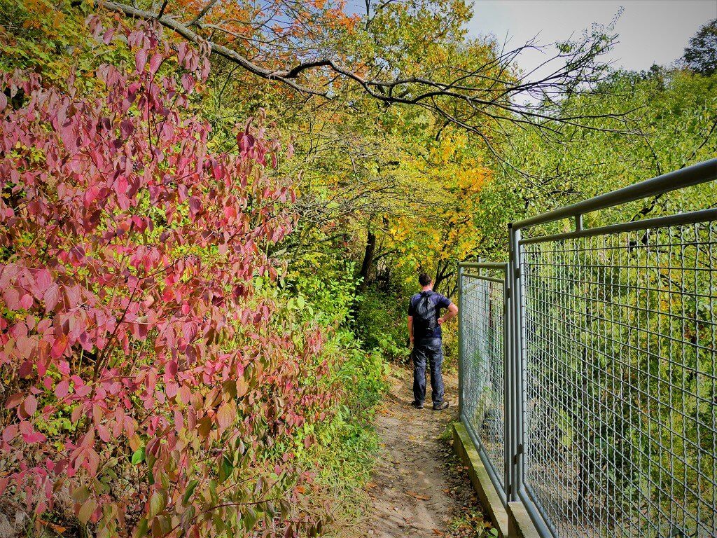 31 autumn hike bratislava slovakia