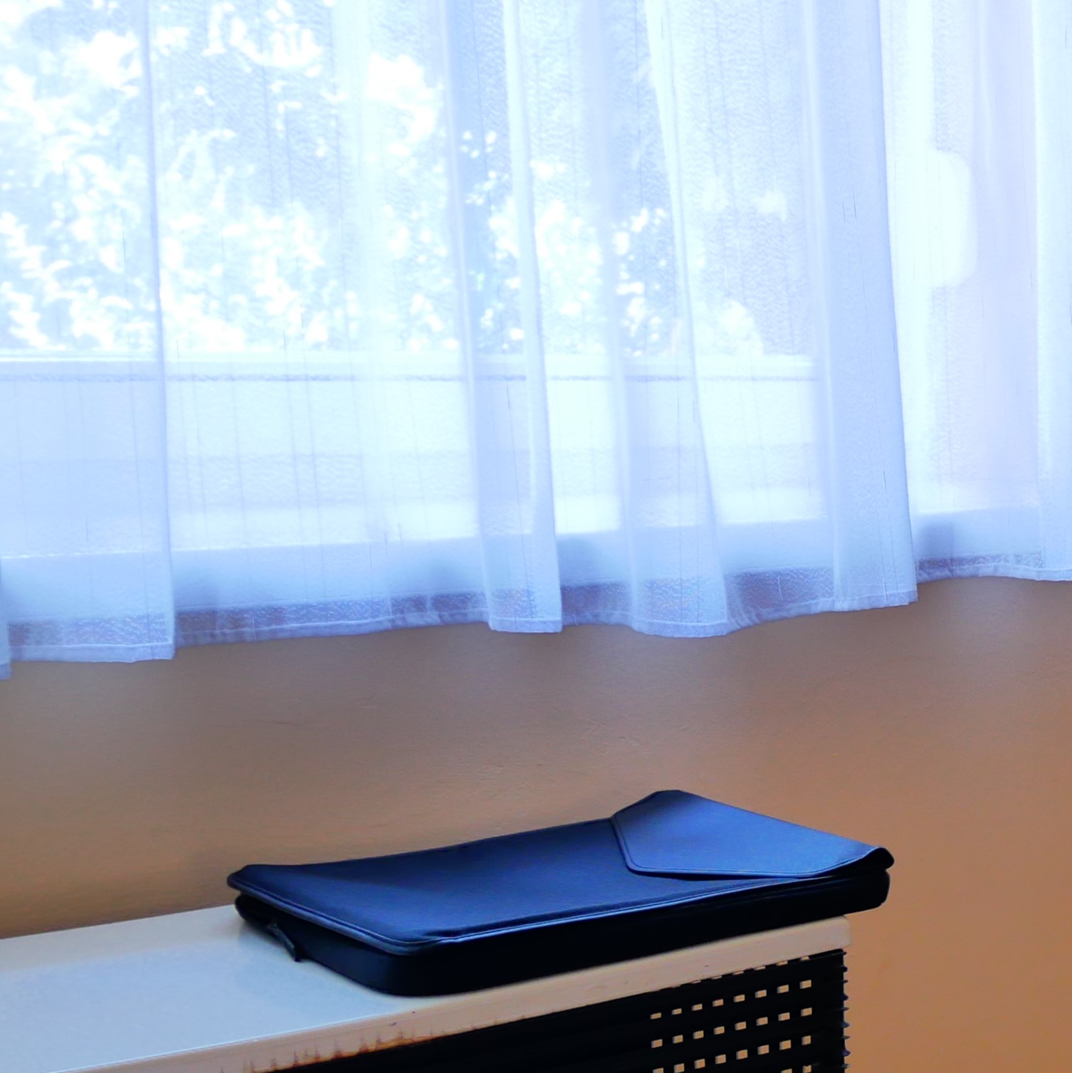 iris laptop and sleeves - two of them