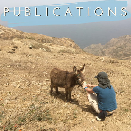 Publications donkey Brava Cabo Verde press