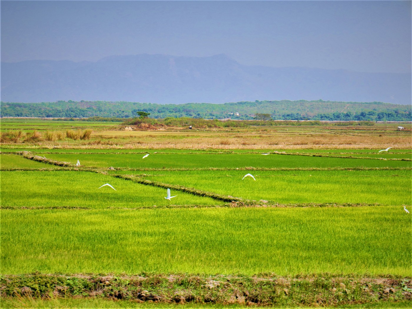Myanmar train yangon mawlamyine 17