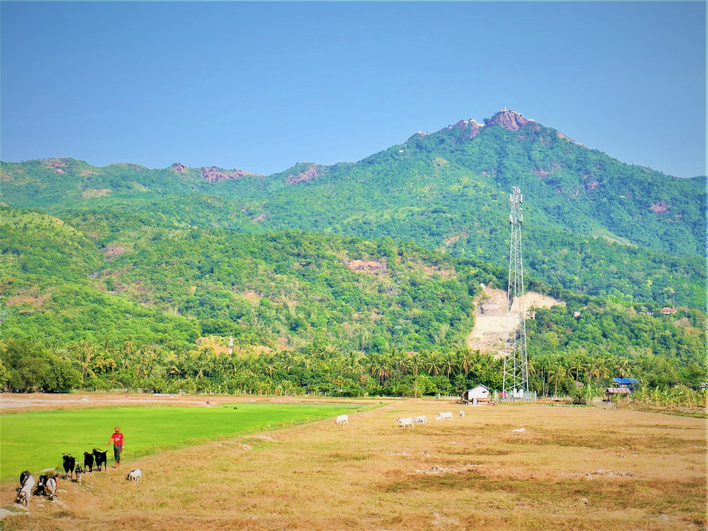 Myanmar train yangon mawlamyine 29