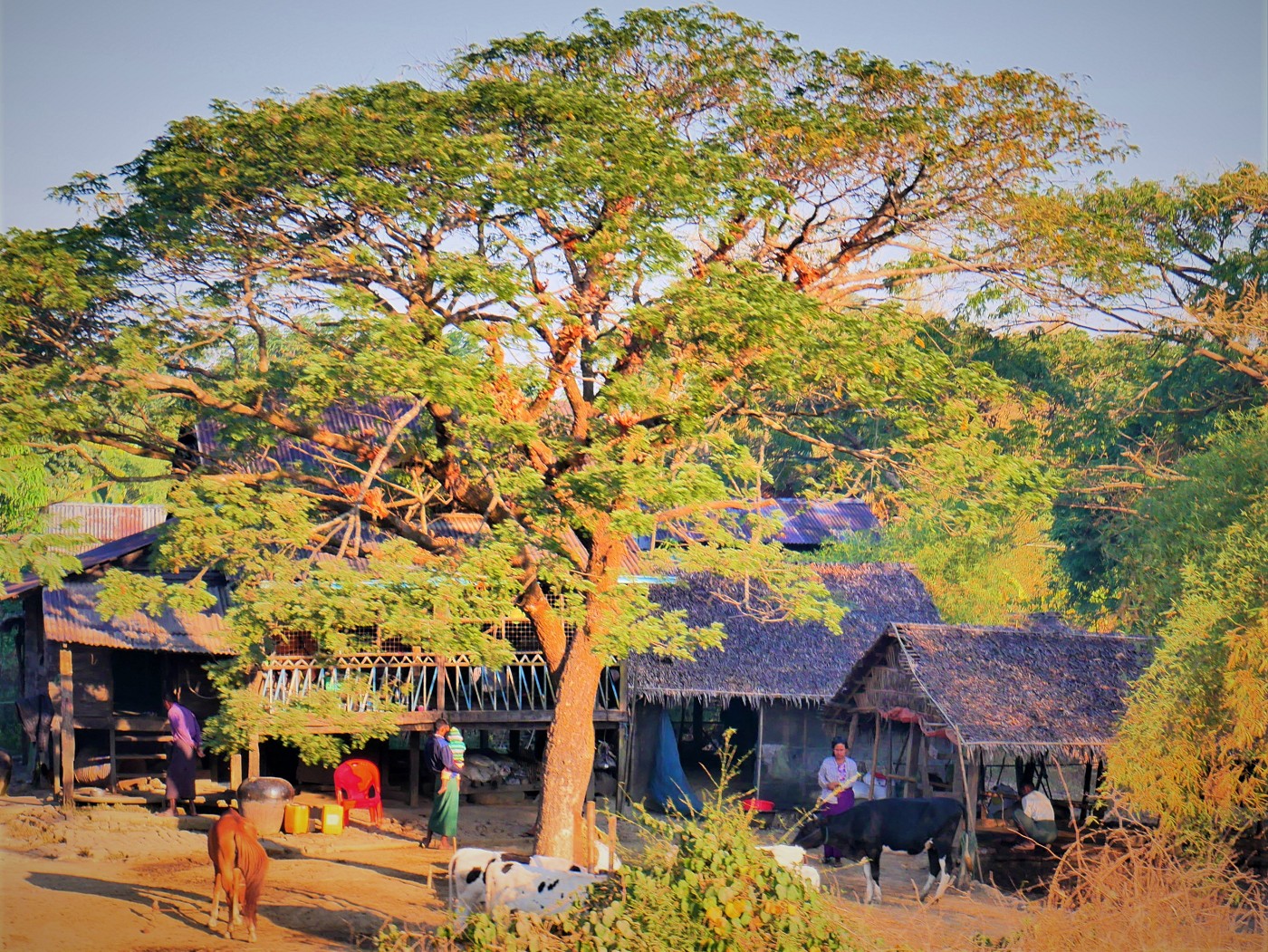 Myanmar train yangon mawlamyine 6