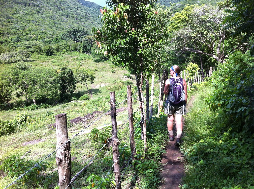 4 Trailhead through field