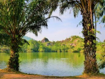 12 ranong canyon lake trees scooter trip