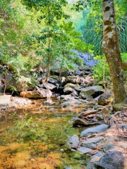 8 namtok ngao waterfall during dry season