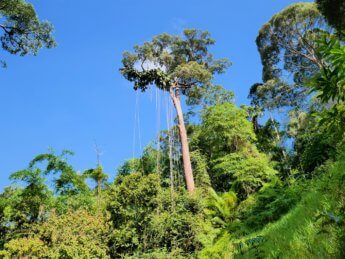 Penang Hill funicular hiking MCO 20