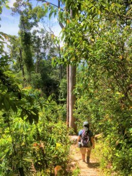 Penang Hill funicular hiking MCO 32