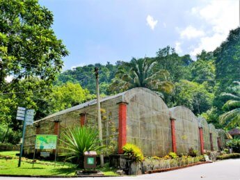 Penang Hill funicular hiking MCO 34