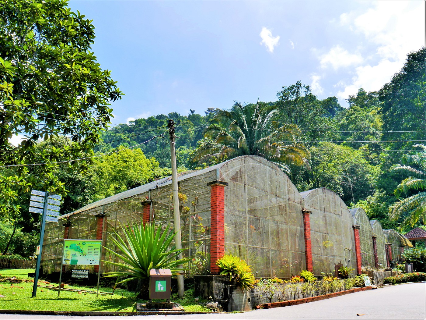 Penang Hill funicular hiking MCO 34