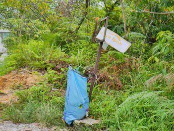 4 hiking bukit kledang squirrel Ipoh Malaysia