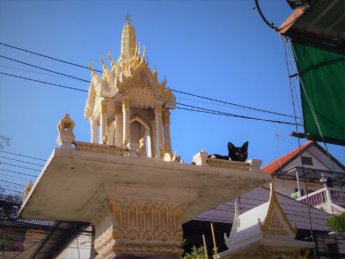 Yoga Rang Nok void cat on Buddhist shrine