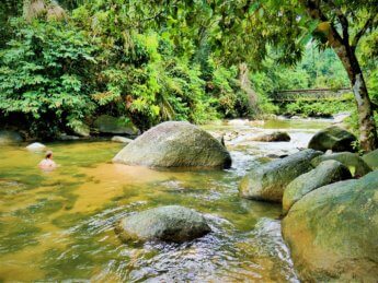 10 Burmese Pool Taiping