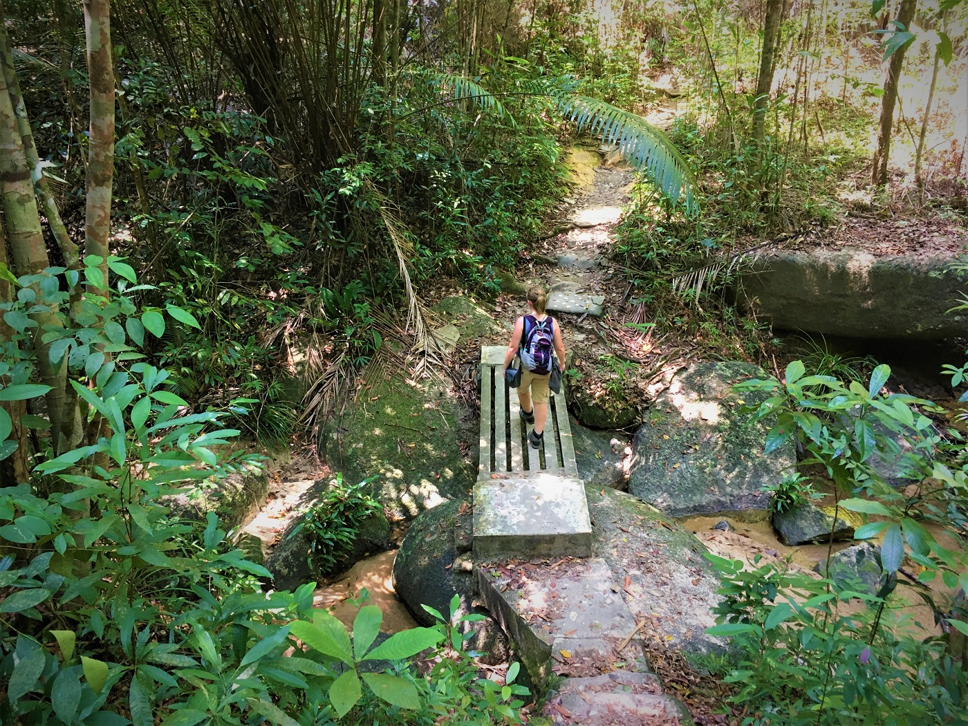 3 iphone Penang national park meromictic lake turtle beach pantai keracut