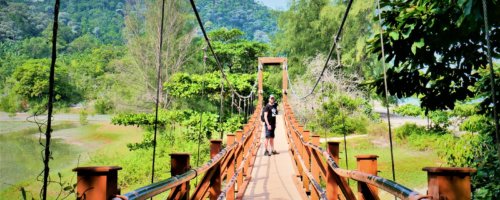 Penang national park meromictic lake turtle beach pantai keracut 15