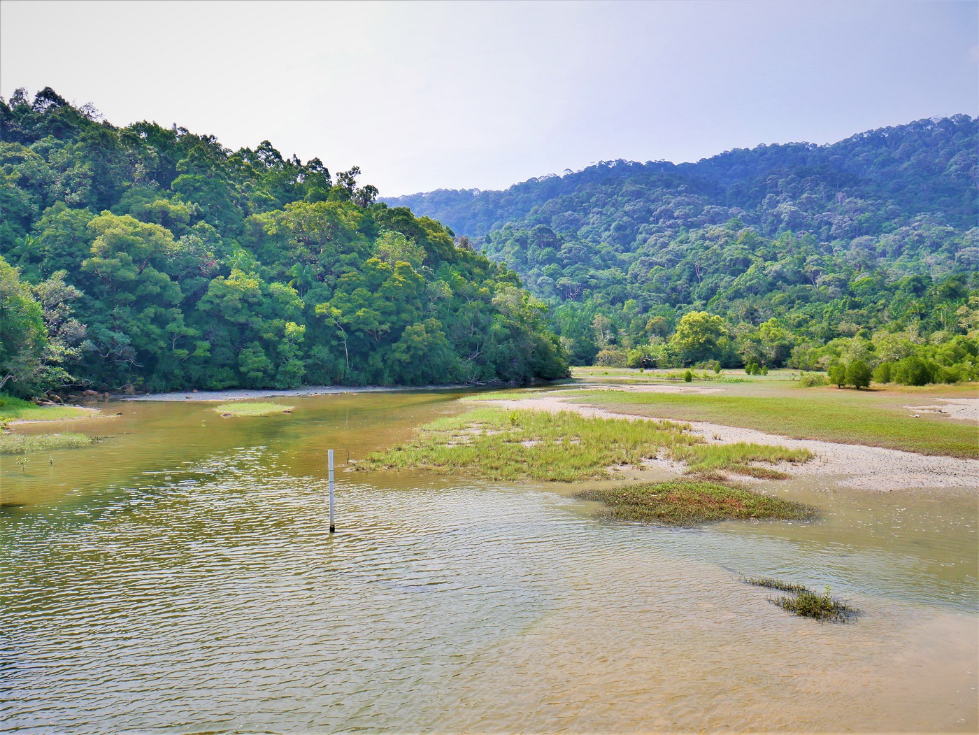 Penang national park meromictic lake turtle beach pantai keracut 16