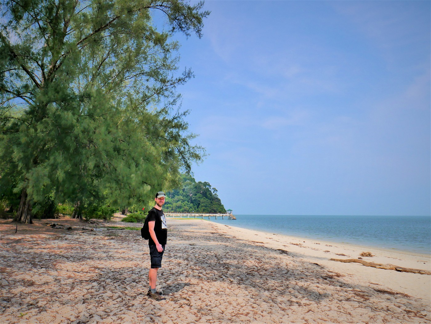 Penang national park meromictic lake turtle beach pantai keracut 19