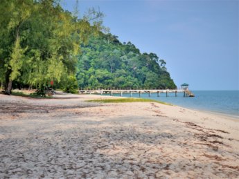 Penang national park meromictic lake turtle beach pantai keracut 20