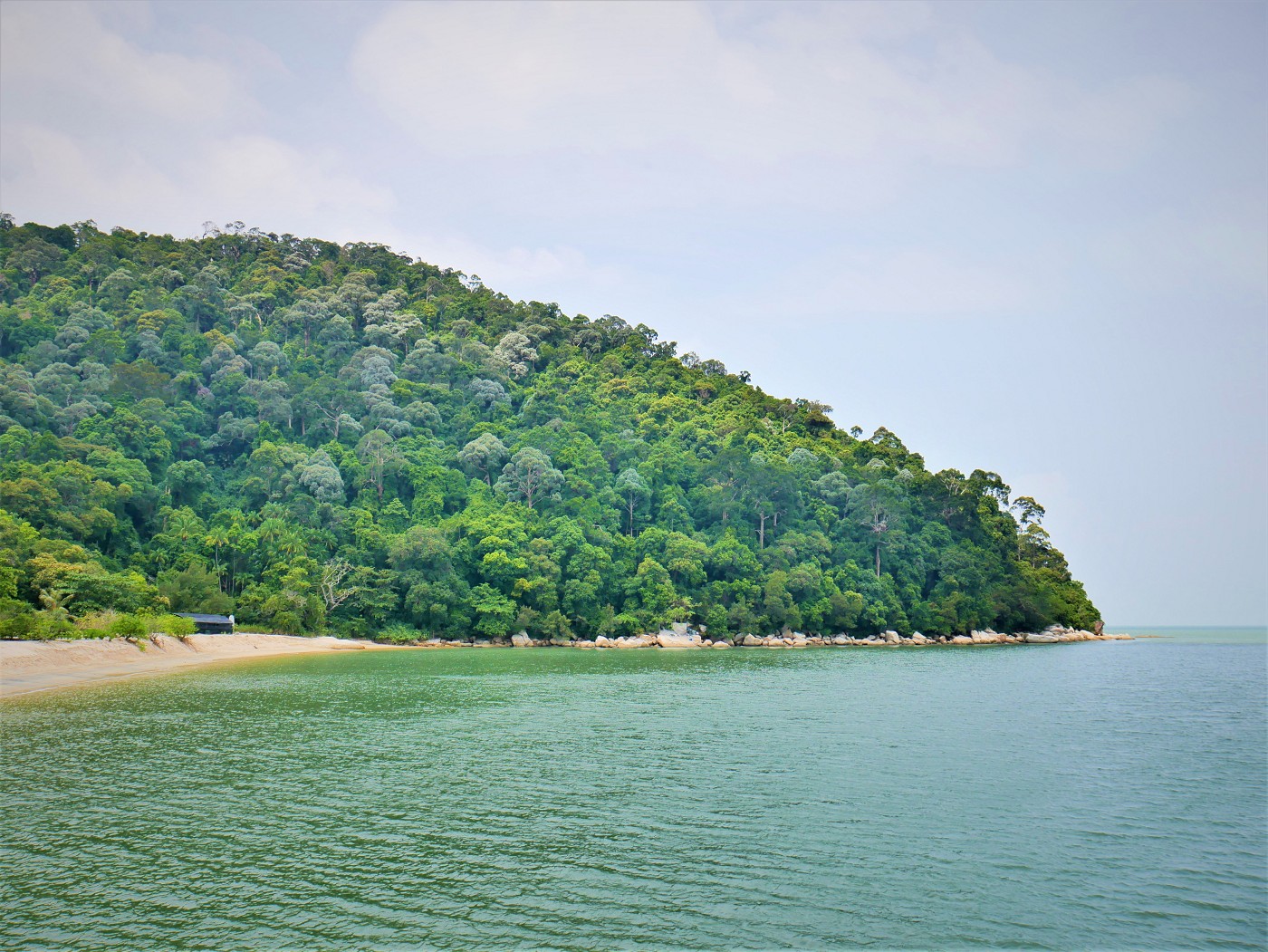 Penang national park meromictic lake turtle beach pantai keracut 22