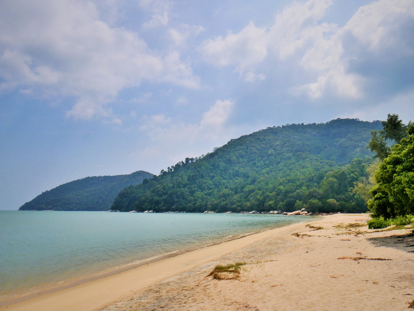 Penang national park meromictic lake turtle beach pantai keracut 25
