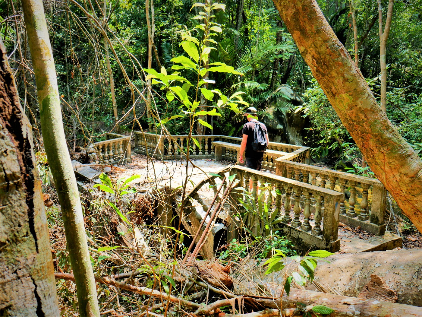 Penang national park meromictic lake turtle beach pantai keracut 31
