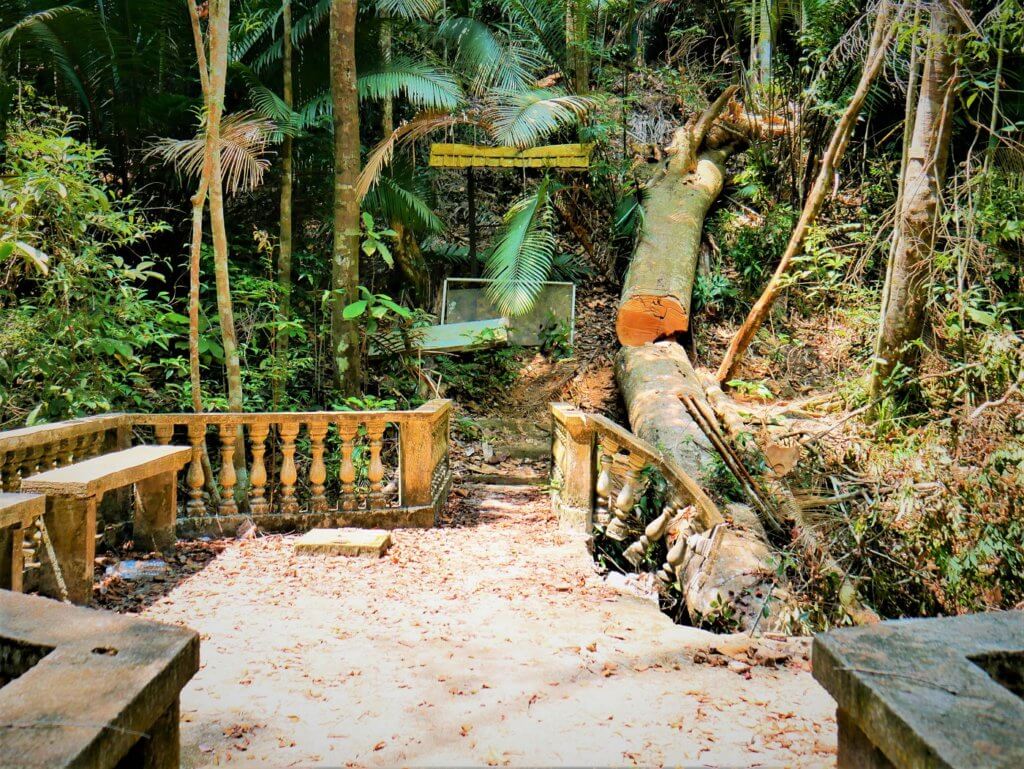 Penang National Park and the Meromictic Lake at Pantai Keracut • Mind ...