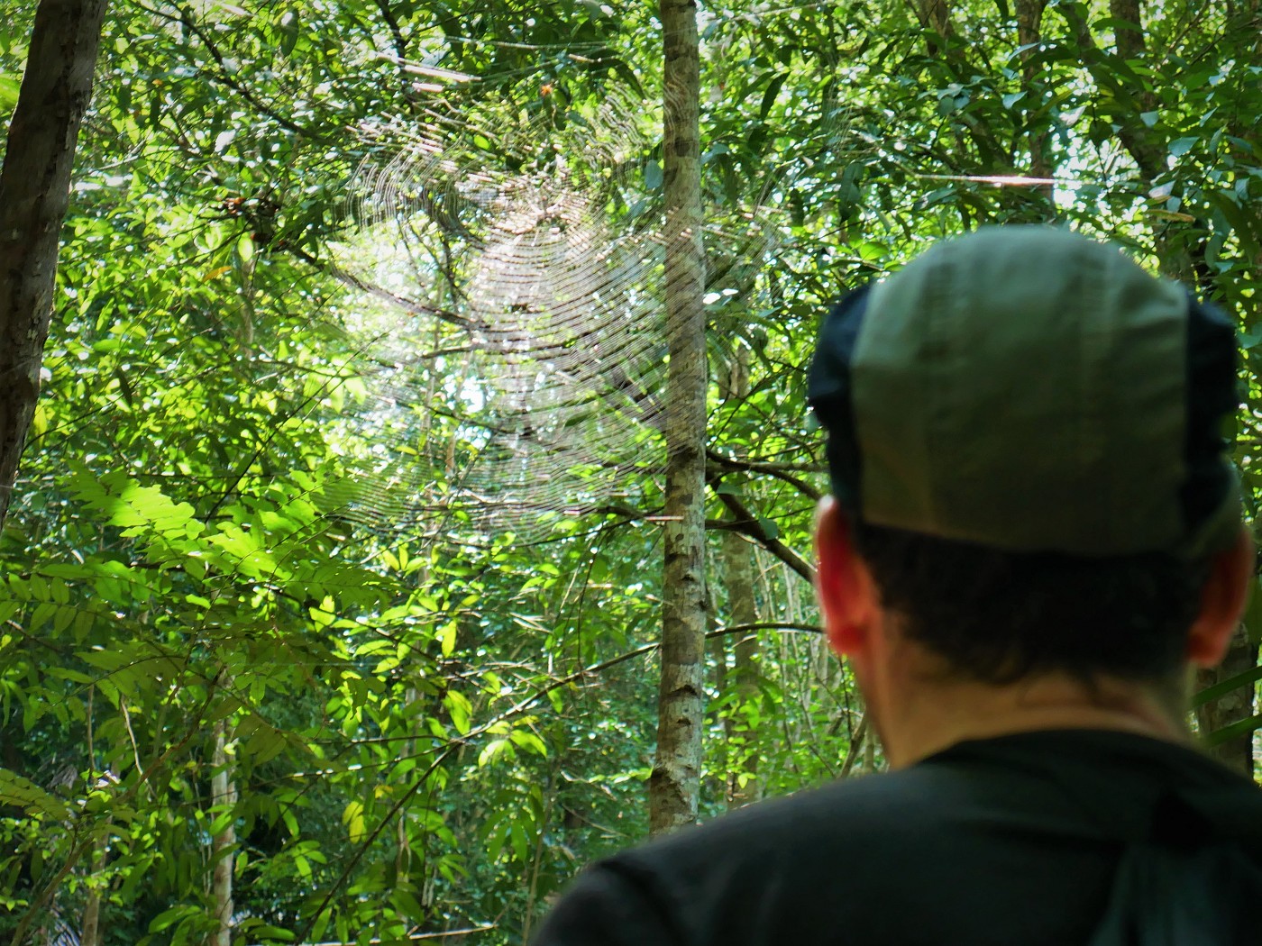 Penang national park meromictic lake turtle beach pantai keracut 36