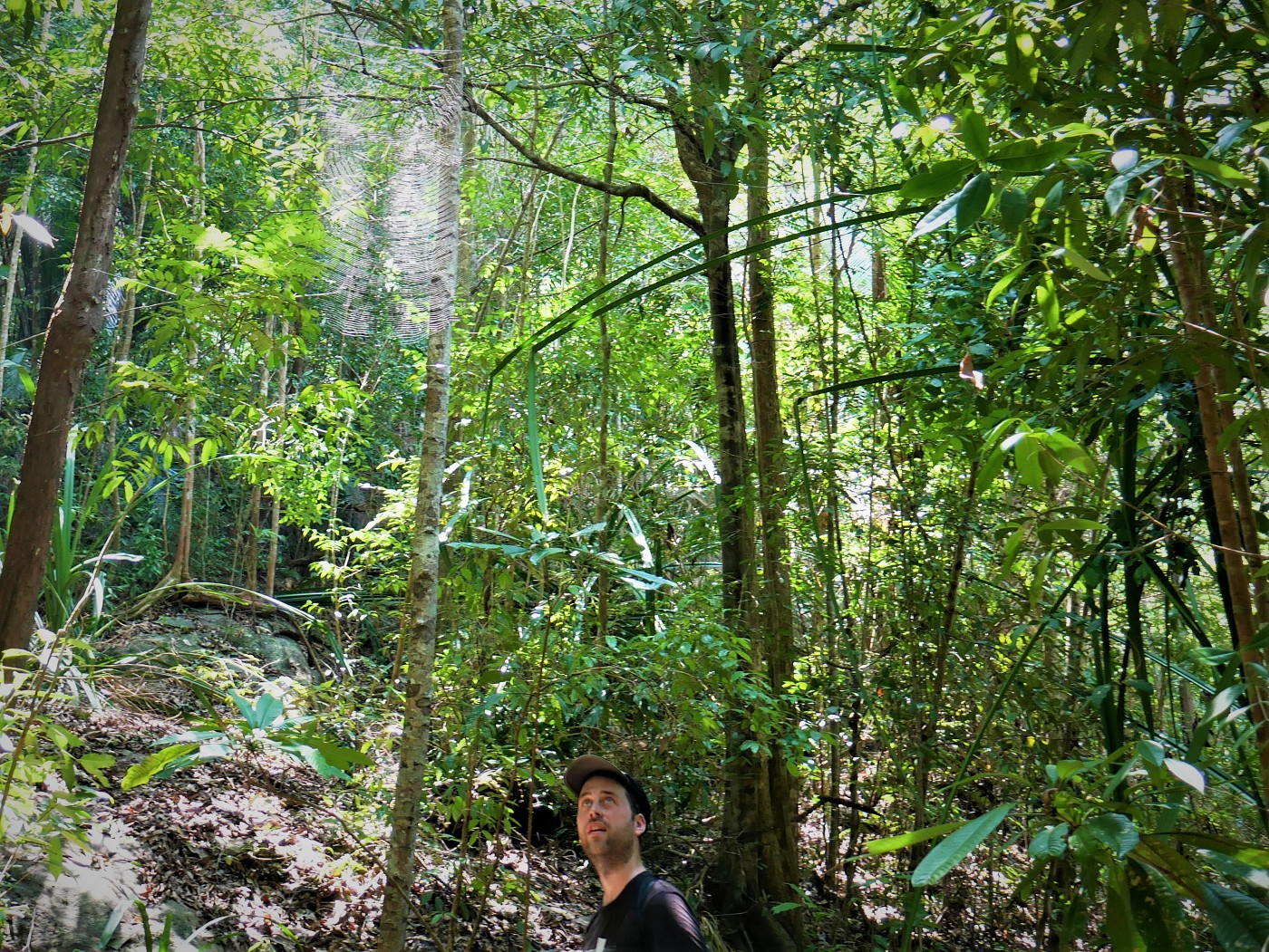 Penang national park meromictic lake turtle beach pantai keracut 37