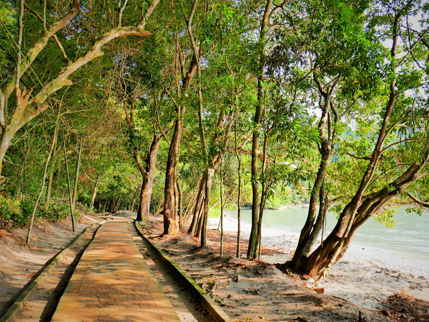 Penang national park meromictic lake turtle beach pantai keracut 4