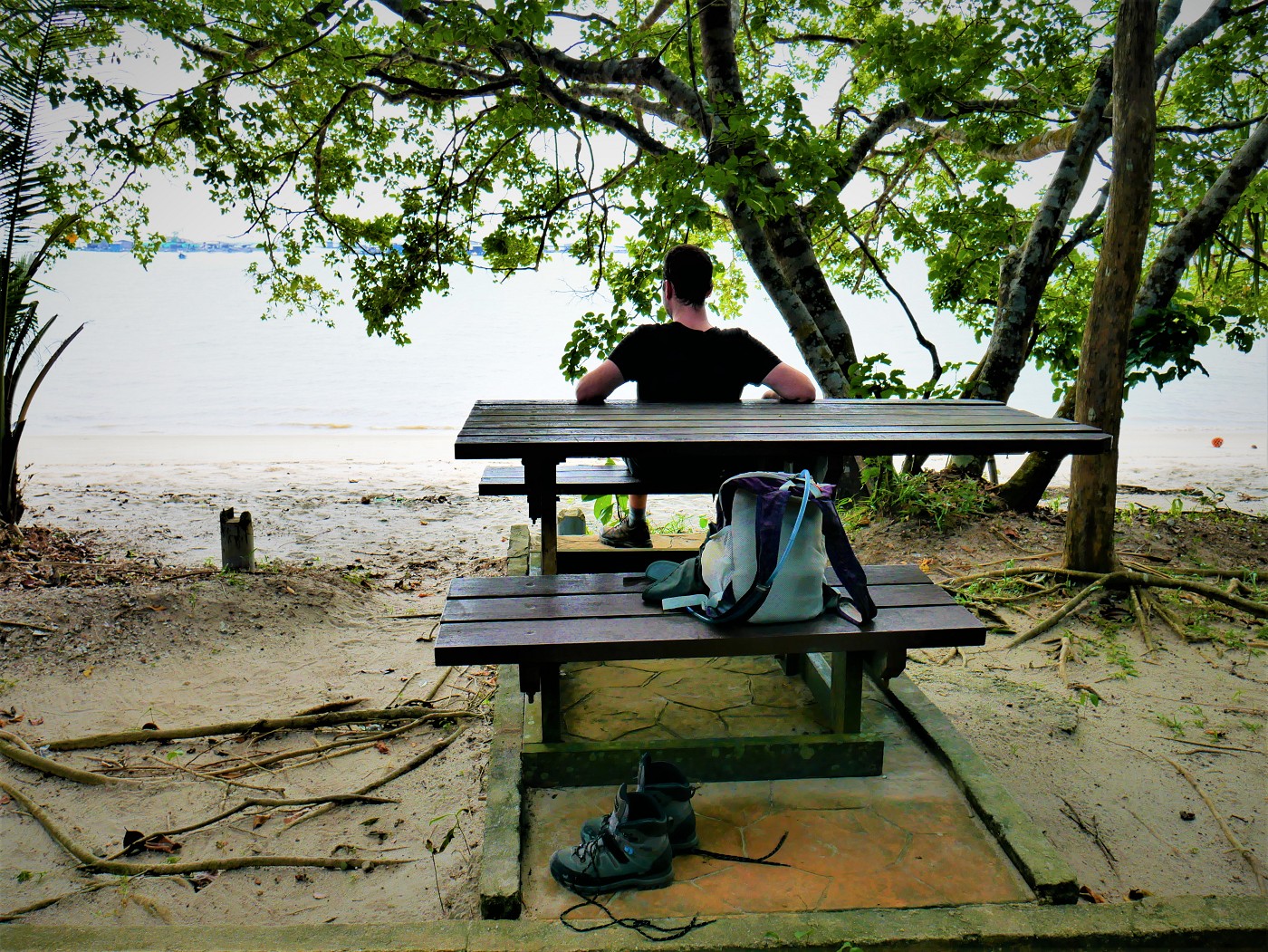 Penang national park meromictic lake turtle beach pantai keracut 40