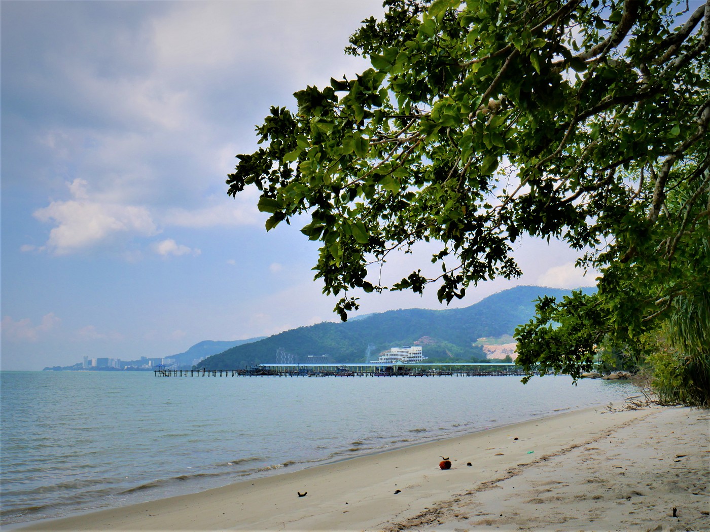 Penang national park meromictic lake turtle beach pantai keracut 42