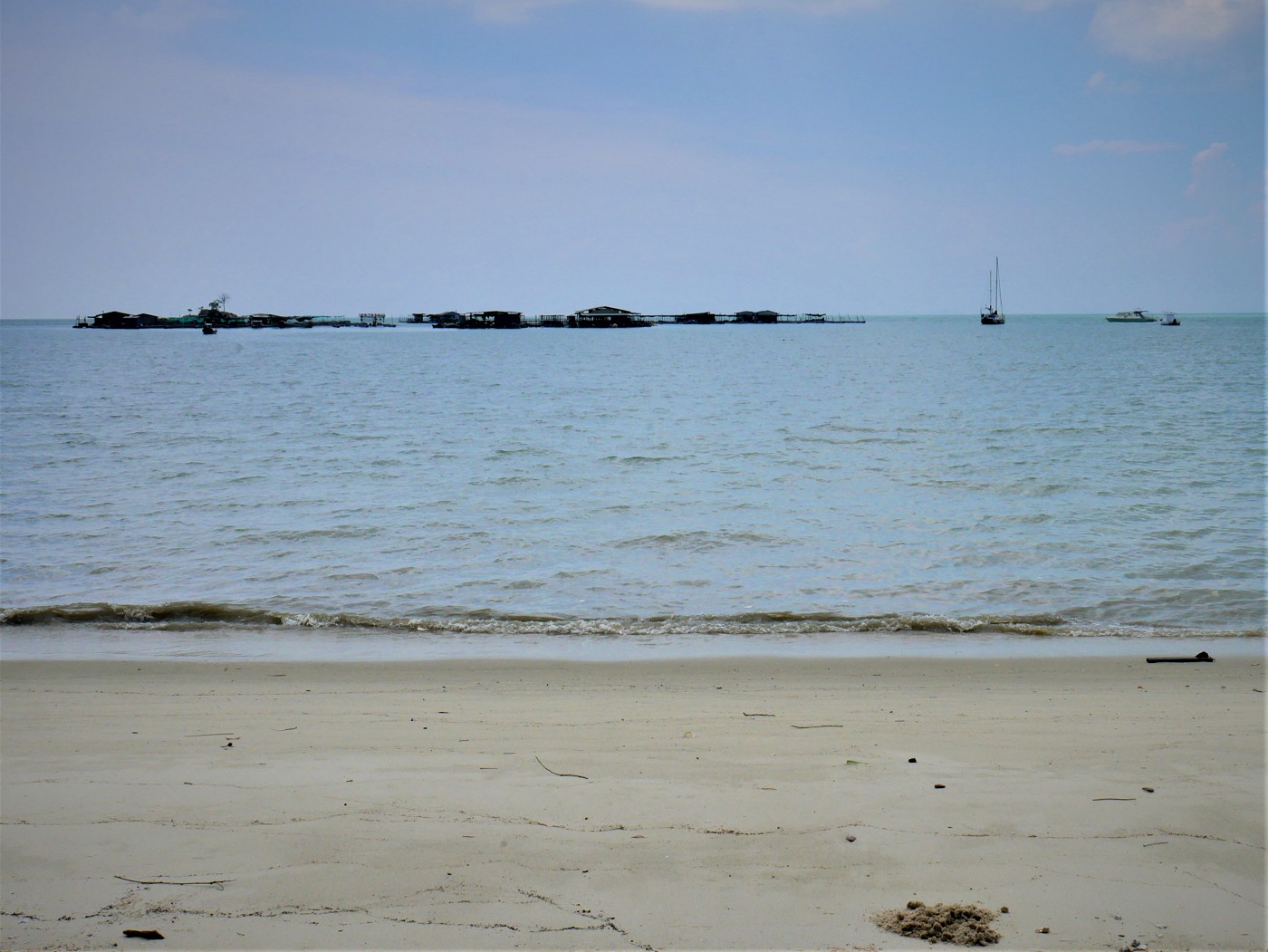 Penang national park meromictic lake turtle beach pantai keracut 43