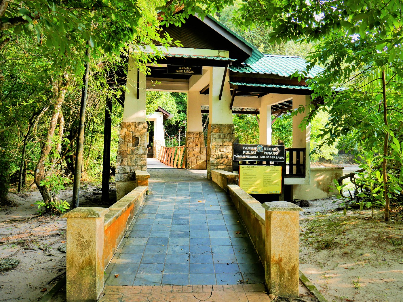 Penang national park meromictic lake turtle beach pantai keracut 5