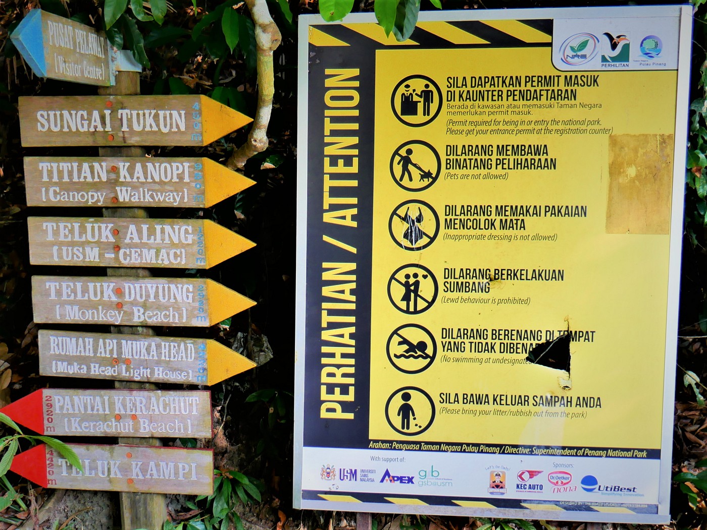 Penang national park meromictic lake turtle beach pantai keracut 6