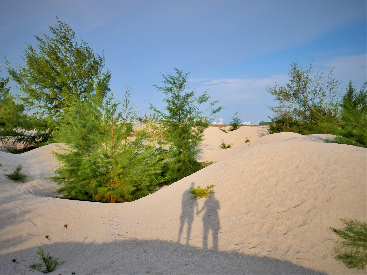 Melaka desert malacca sand dunes klebang 7