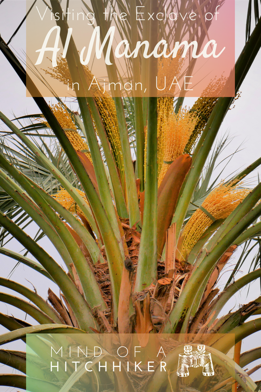 1 Al Manama, Ajman — Visiting the Inland Exclave + Al Dhaid as a Day Trip from Sharjah
