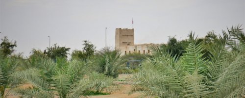 10 al manama museum ajman white fort