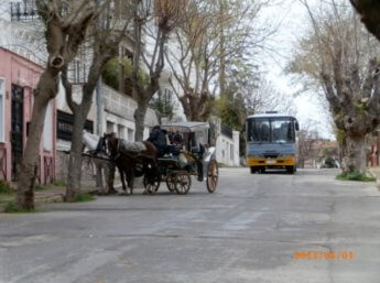 18 bus and horse cart heybeliada 2013 before electic buses