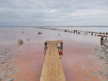 Arabat Spit: A Day Trip to Ukrainian-Controlled Crimea with Hot Spring + Pink Lake