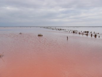 Arabat Spit Pink Lake Heniches'k Lake Crimea Ukraine salt