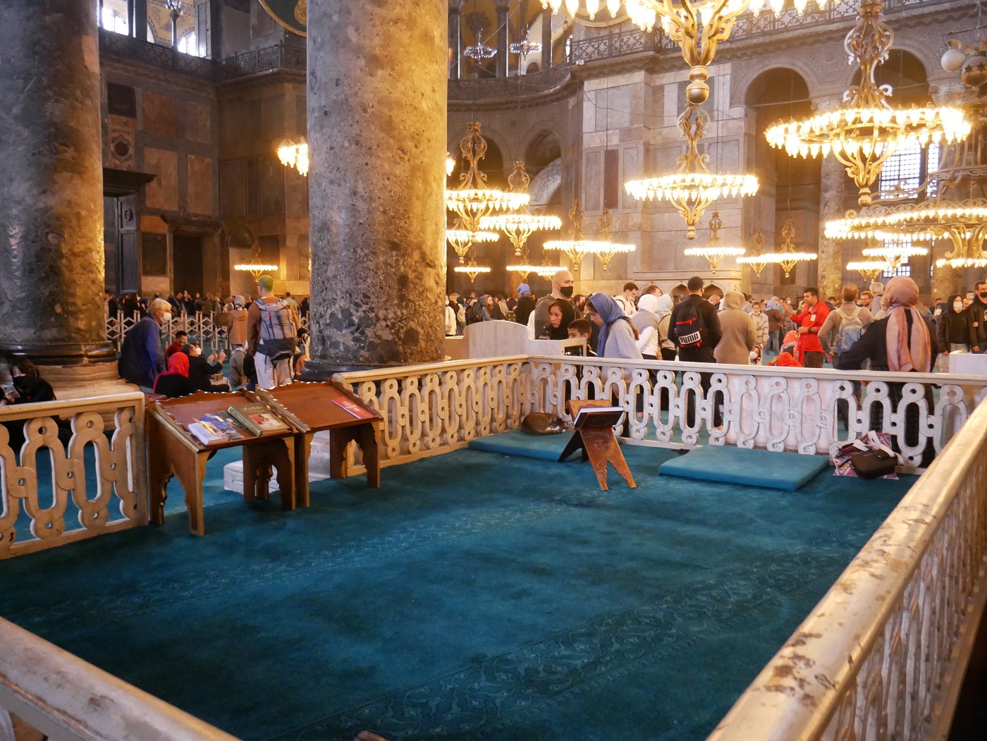 6 cat in prayer niche ayasofya mosque 2021 cats welcome istanbult urkey carpet