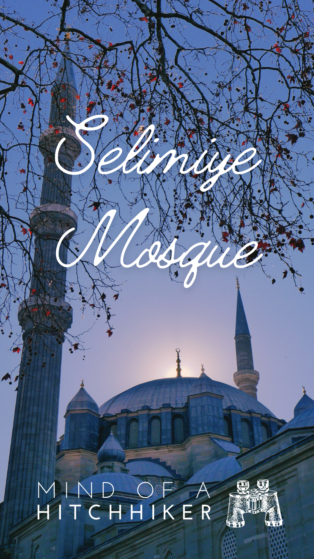 Selimiye Mosque Edirne Thrace Turkey European side