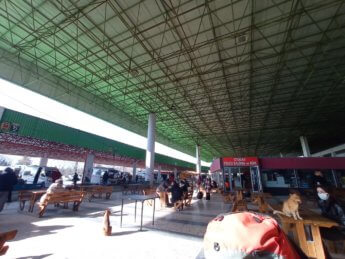 1 Edirne otogar bus station