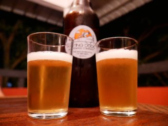Blonde mauritian craft beer the flying dodo brewery