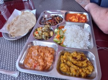 madhuban pure vegetarian thali surinam mauritius