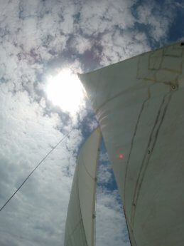 14 sails as seen in the sun Mauritius catamaran jib mainsail teaching class