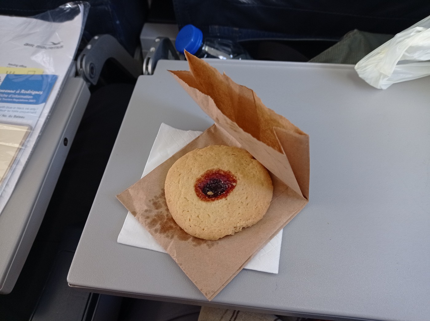 Flight Air Mauritius to Rodrigues vegetarian meal VGML cookie