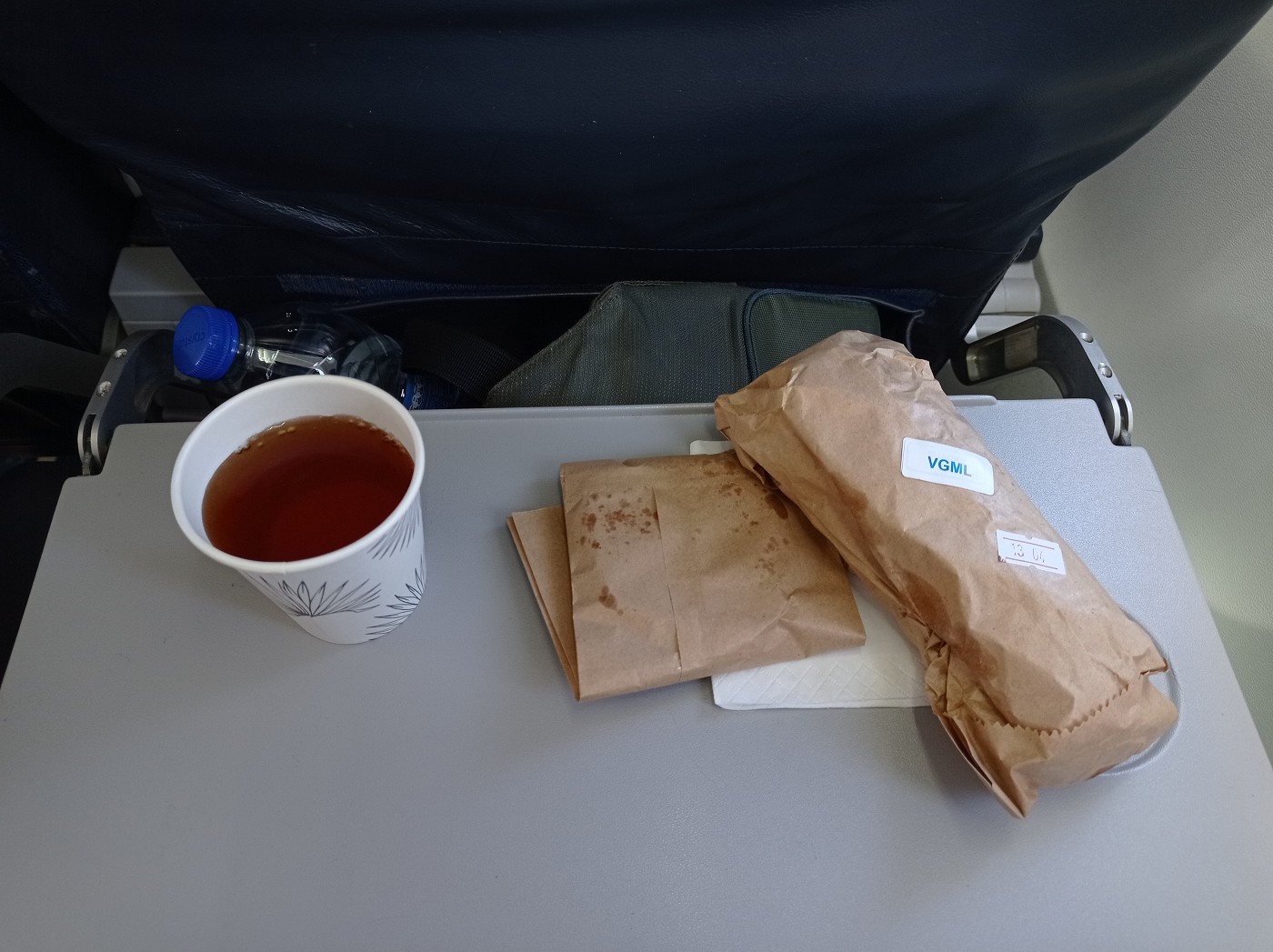 Flight Air Mauritius to Rodrigues vegetarian meal VGML